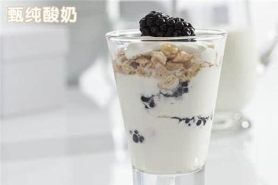 蒙牛牛奶代理商加盟條件全解析 投資者能否輕松加入？