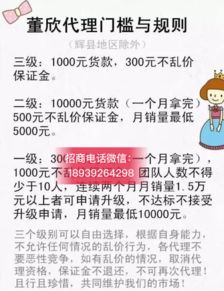 央視曝光董欣品牌引發(fā)關(guān)注，解析其官方代理招募模式與市場(chǎng)營銷策略